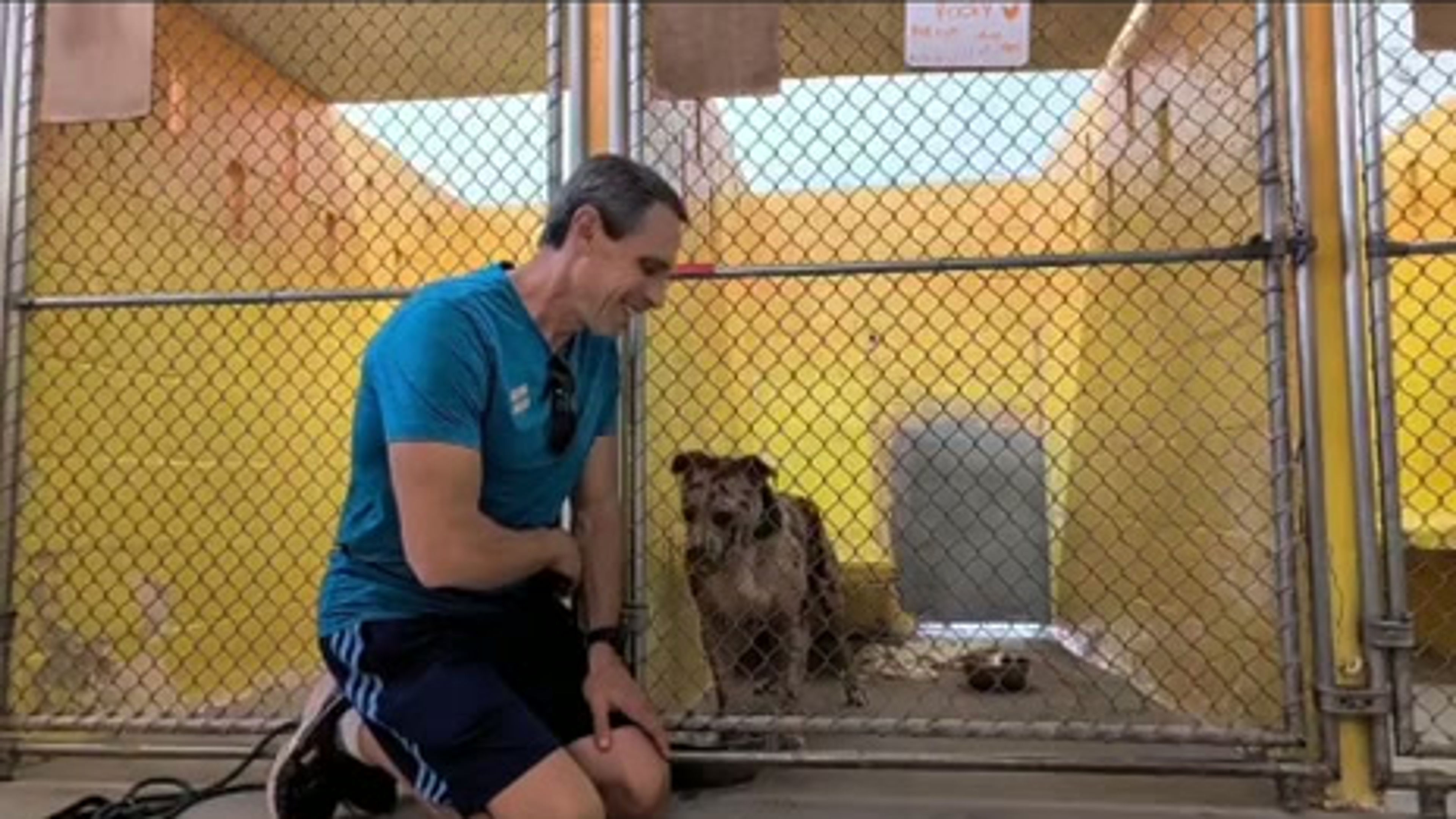 Shelter Rehab Training